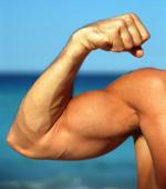 Szókincs izomtömeg növelésére bicepsz
