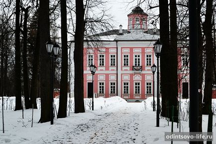 Садиба великі Вяземи