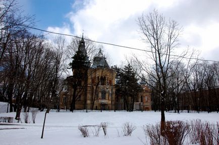 Садиба «дача чернова» в псевдо-руському стилі