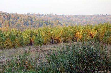 Садиба Шахматова, де жив поет а