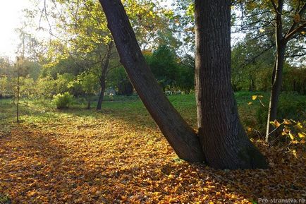 Manorul șahului, unde trăia poetul