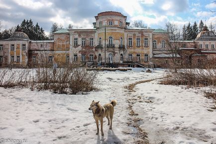 Manor Sheremetev hogy Mikhailovskoye (RESORT Mikhailovsky)