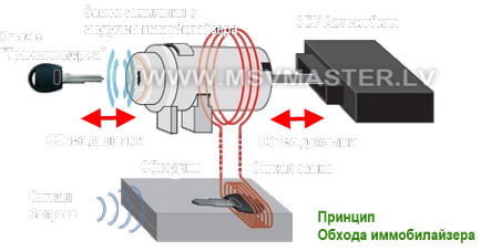 Instalarea alarmei fără autostart pe Ford Focus 2 cu propriile mâini