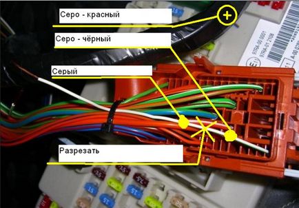 Setarea sistemului de alarmă Ford Focus cu propriile mâini - un ventilator Ford Focus