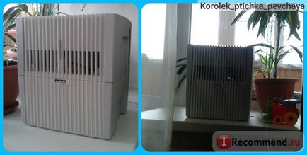 Овлажнител Air Purifier Venta lw25 - «Разбира се, овлажнителя трябва да бъде във всеки апартамент!