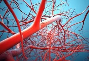 Ruptura arterelor brahiocefalice (bzu) - ce este?
