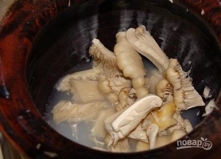 Ciuperci de ciuperci cu cartofi în ghivece - cele mai delicioase rețete