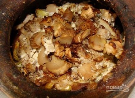 Ciuperci de ciuperci cu cartofi în ghivece - cele mai delicioase rețete