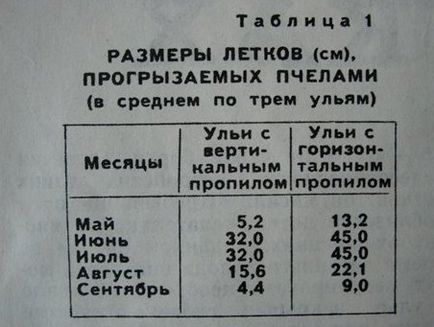 Vizitarea unui apicultor igorkina igorya - vizualizarea subiectului - cum se face corect un prospect într-un stup