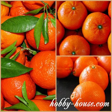 Alegeți clementine și mandarine