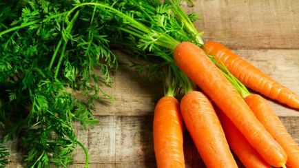 Вирощування моркви у відкритому грунті нюанси