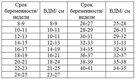 Висота дна матки по тижнях вагітності таблиця, як виміряти