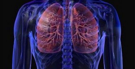 Хронічні захворювання легенів, збори для лікування легких