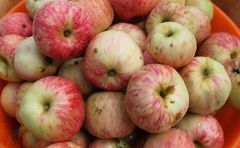 Яблучний кисіль - покроковий рецепт з фото