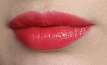 Ysl kiss - blush 5 rouge effrontee - відгук і макіяж, elia chaba