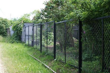 Gard din plasă pentru secțiunea de traversare suburbană și alte garduri vii, instrucțiuni de realizare, videoclipuri și fotografii