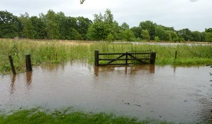 Навіщо відстоювати воду для акваріума - все про воду