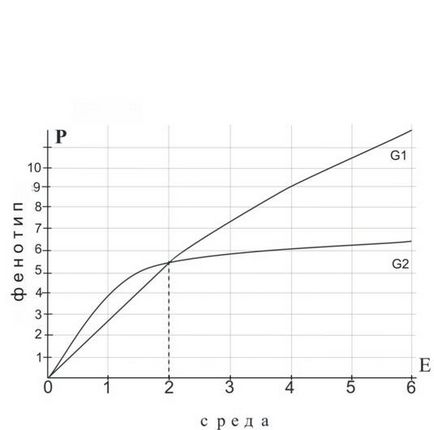 Tutorial despre psihologie, platforma de continut