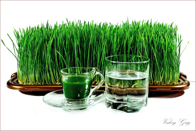 Зелений газон на столі