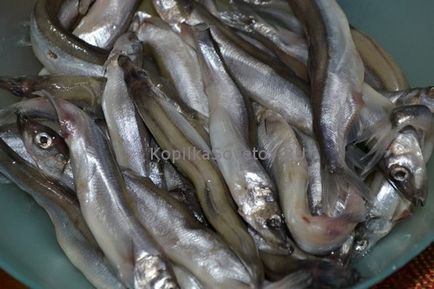 Capelin de prăjire în tigaie - rețetă pentru gătit pește prăjit