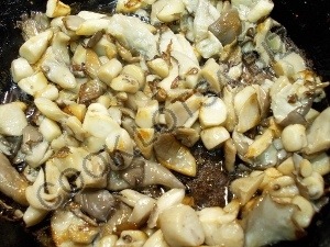 Friptura cu ciuperci în ghivece - rețetă delicioasă de casă pas cu pas cu fotografie
