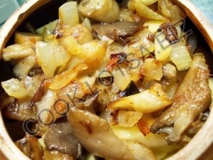 Friptura cu ciuperci în ghivece - rețetă delicioasă de casă pas cu pas cu fotografie