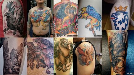 Jelentése tetoválás griffmadár, fotó Tattoo Club Tattoo, értelmét, vázlatok, fotók, cikkek