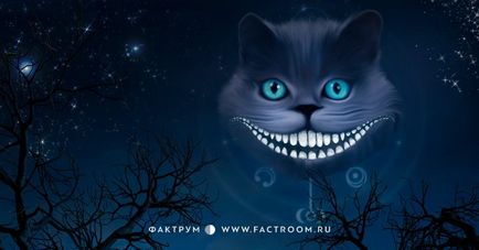 20 Secretele vieții de la pisica Cheshire, pe care ți le șoptește în ureche - factum