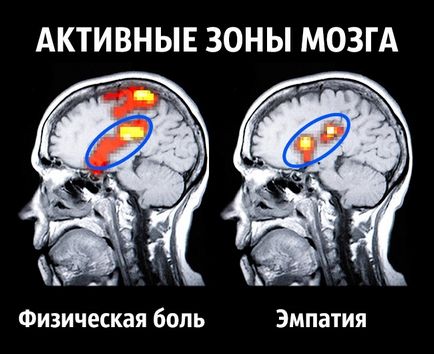 8 Consiliile unui neurolog despre cum să devii fericit odată pentru totdeauna