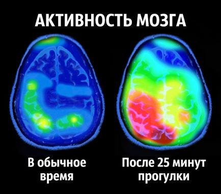 8 Рад нейробіолога про те, як стати щасливим раз і назавжди