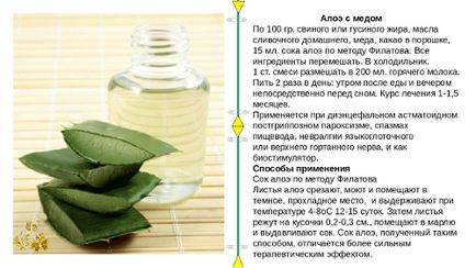Aloe pentru pierderea în greutate - recenzii și rezultate cum să piardă în greutate cu ajutorul sucului de aloe vera acasă