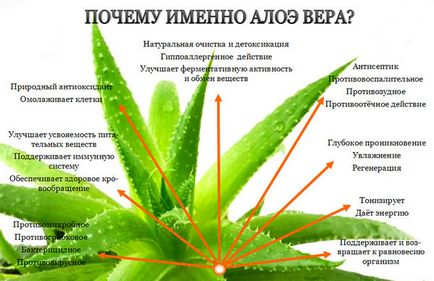 Отслабване Aloe - мнения и резултати, как да отслабнете с помощта на сок от алое вера у дома