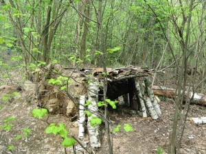 Arhive peste noapte în pădure - supraviețuire în sălbăticie și situații extreme