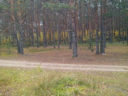 Indian Summer (történet) vénasszonyok nyara