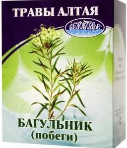 Багно звичайне - сильнодіючий засіб від кашлю - будьте здорові