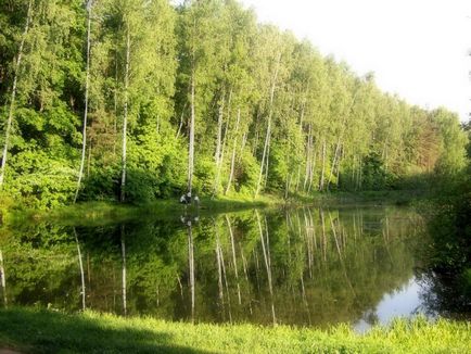 Arboretumul Biryulyovo
