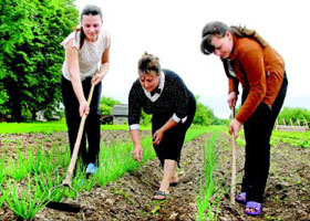 Plan de afaceri pentru agricultura cu timp parțial