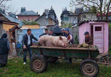 Buzescu - un sat de țigani indecent de bogați (37 imagini) - Trinikisi