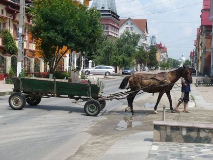 Бузеску - селище непристойно багатих циган (37 фото) - Трініксі