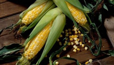 Чим корисна кукурудза, здорове життя