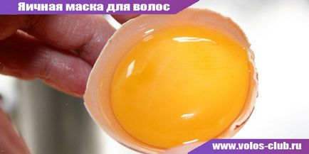 Mi lesz a tojás haj maszk otthon vélemények és receptek (otthon) Mi lesz a tojás haj maszk otthon vélemények és receptek