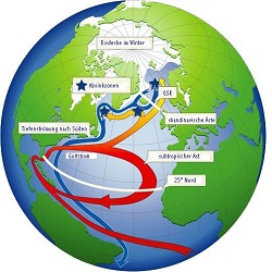 Mi a Golf-áramlat, amely folyik a Golf-áramlat és annak hatása az éghajlatra