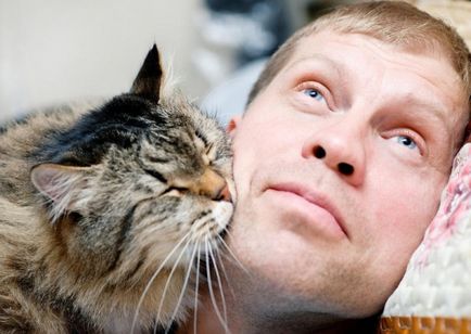Mit „Moore” és a „miau”, vagy megtanulják, hogy megértsék a nyelvet macskák