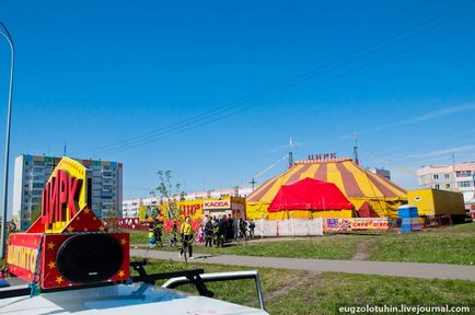 Circus taobito kobzov și vacă cu cinci picioare totosha - 21 regiune - portal de informare și divertisment