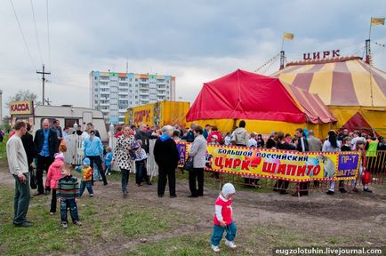 Circus taobito kobzov și vacă cu cinci picioare totosha - 21 regiune - portal de informare și divertisment