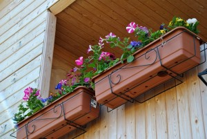 Virágcserepek erkélyre (függő virágcserepek), erkélyek minden!