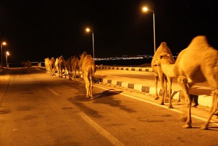 Dahabextremeclub, Israel