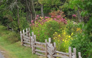 Dekoratív kerítés a kertben - kényelem évekig videó