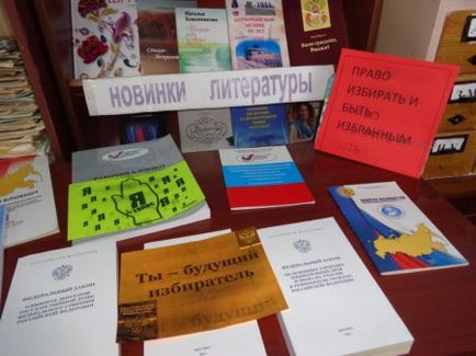 День молодого виборця - муніципальне утворення першотравневий район