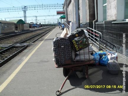 Ország portál - úti jegyzetek sziámi macska